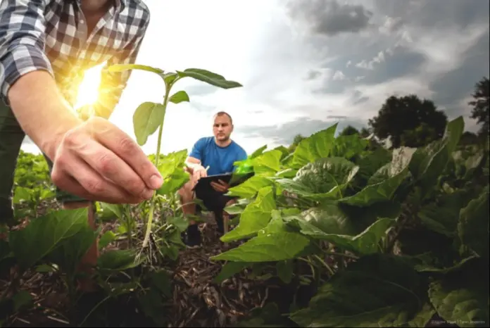 Publication of A Vision for Agriculture and Food