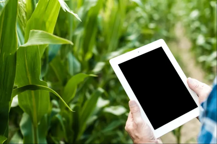 Changes in the implementation period of the Digital Agricultural Holding Notebook