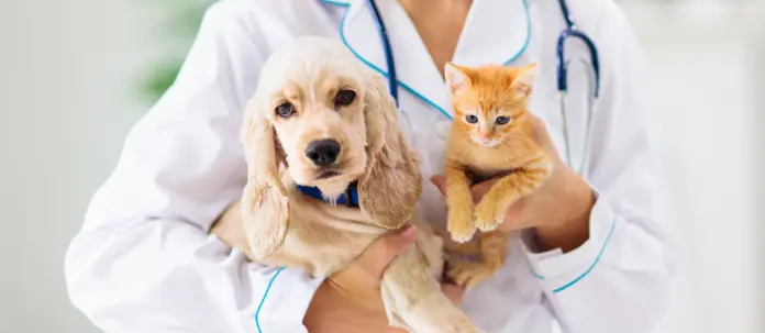 Implementation of the veterinary medicinal products regulation