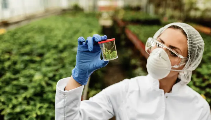 The latest European Union report on pesticide residues in food