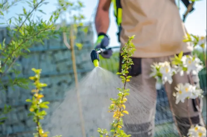 The European Council adopts a revision of the EU plant health law