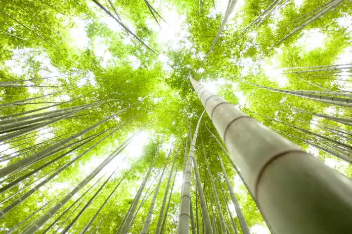 Reglamento Orgánico del Servicio de Biodiversidad y Áreas Protegidas